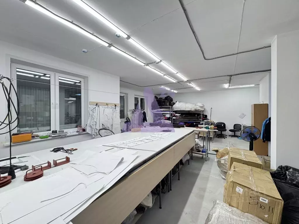 Помещение свободного назначения в Алтайский край, Барнаул ул. 1905 ... - Фото 1