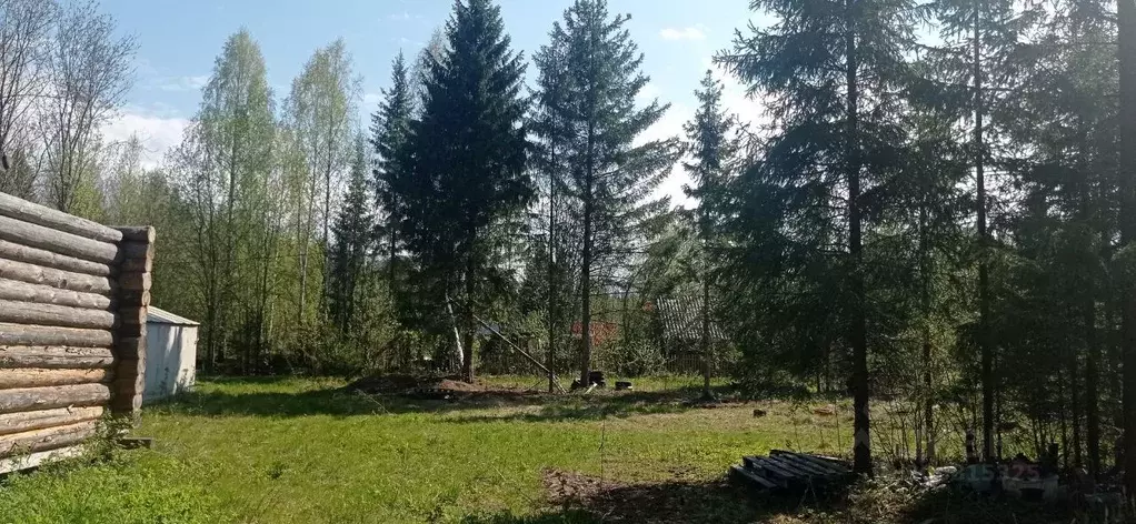 Дом в Пермский край, Чистые Ключи садовые участки  (15 м) - Фото 1