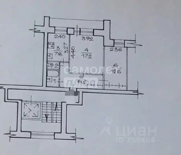 2-к кв. Новосибирская область, Новосибирск ул. Гоголя, 237 (51.0 м) - Фото 1