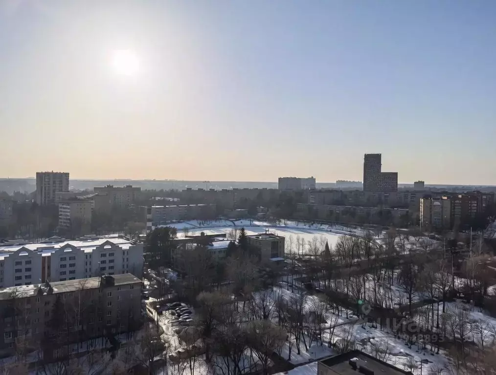 Студия Московская область, Пушкино Озерная ул., 11к1 (26.9 м) - Фото 2