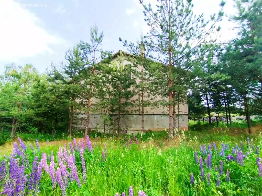 Дом в Чайковский городской округ, деревня Дубовая, улица Фермеров, 14 ... - Фото 1