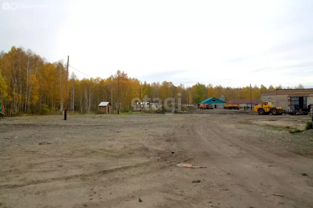 Участок в Курганская область, Шадринский муниципальный округ, село ... - Фото 1