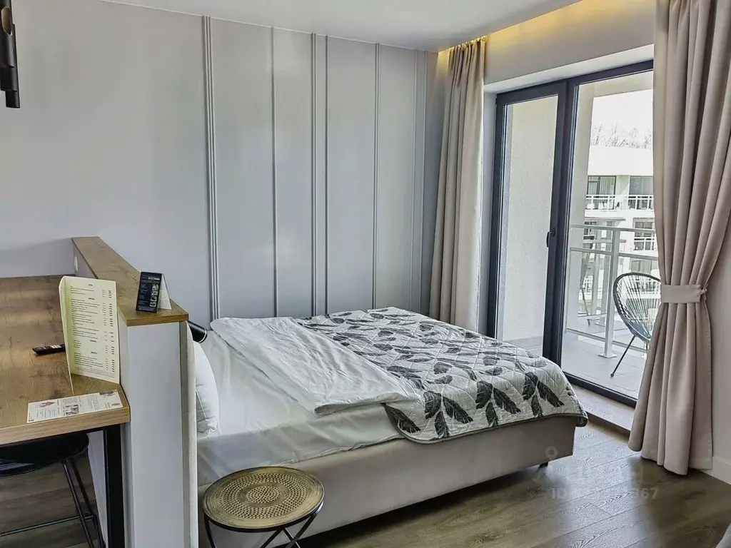 Студия Калининградская область, Светлогорск ул. Кленовая, 2 (34.0 м) - Фото 1