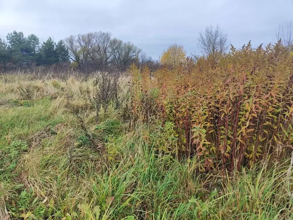 Участок в Московская область, Лотошино пгт ул. Преображенская (10.6 ... - Фото 0
