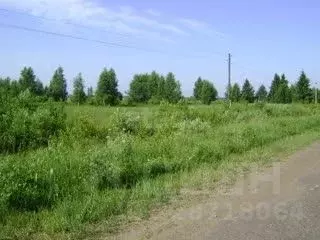 Участок в Ярославская область, Тутаевский муниципальный округ, д. ... - Фото 2