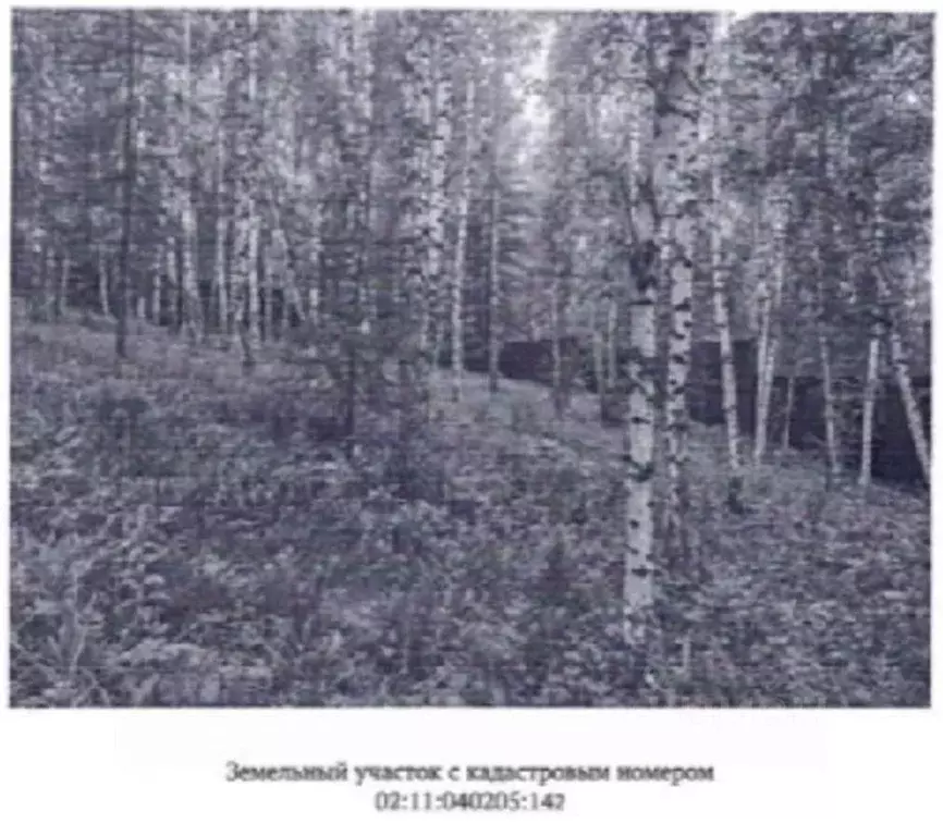 Участок в Башкортостан, Белорецкий район, Абзаковский сельсовет, с. ... - Фото 2
