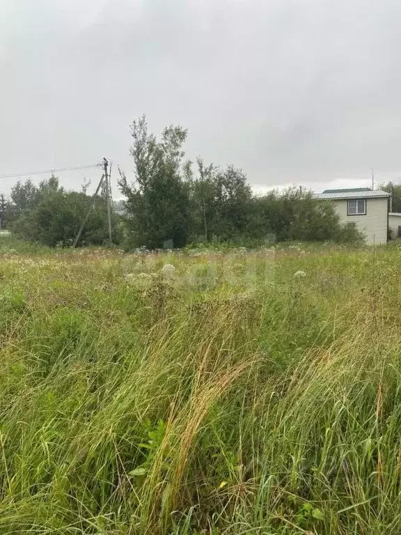 Участок в Московская область, Солнечногорск городской округ, ... - Фото 1