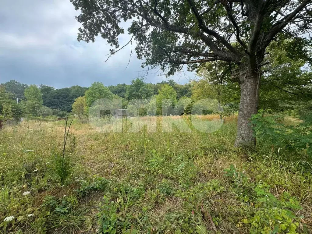 Участок в Адыгея, Майкопский район, Краснооктябрьское с/пос, пос. ... - Фото 1