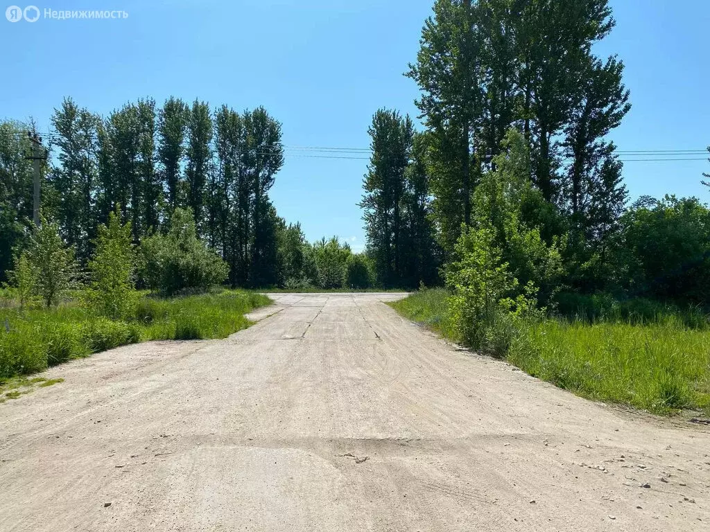 Участок в Калининградская область, Зеленоградск (7.5 м) - Фото 1