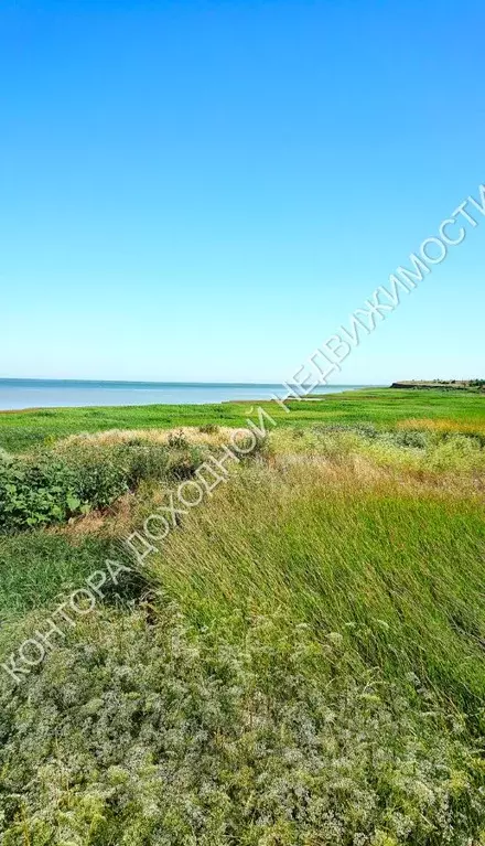 Участок в Ростовская область, Азовский район, с. Маргаритово Морская ... - Фото 1