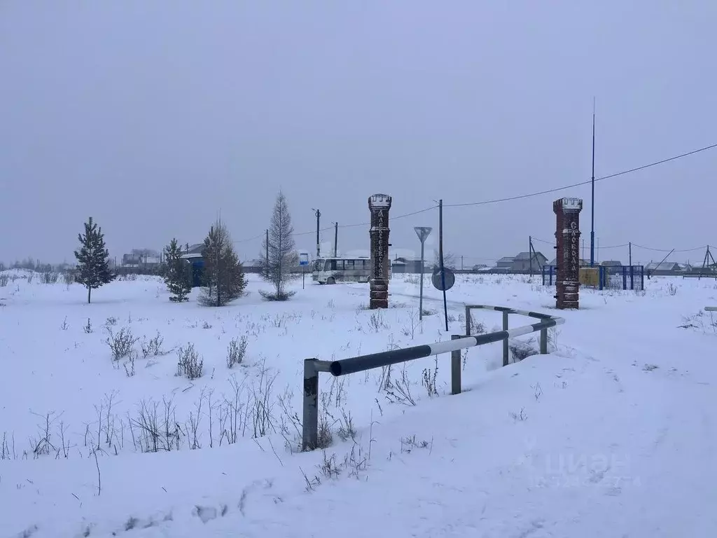 Участок в Новосибирская область, Новосибирский район, Толмачевский ... - Фото 1