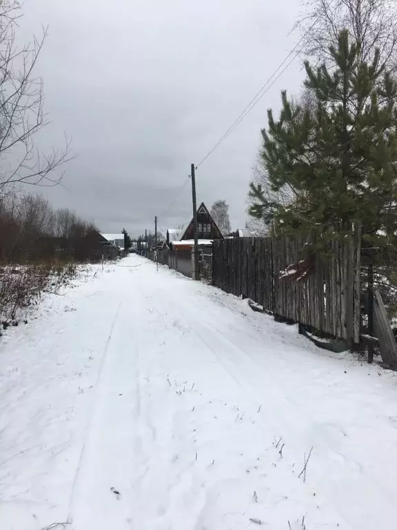 Участок в Кировская область, Юрьянский район, Загарское с/пос, Березка ... - Фото 1