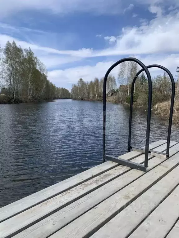 Участок в Новосибирская область, Новосибирский район, Кудряшовский ... - Фото 1