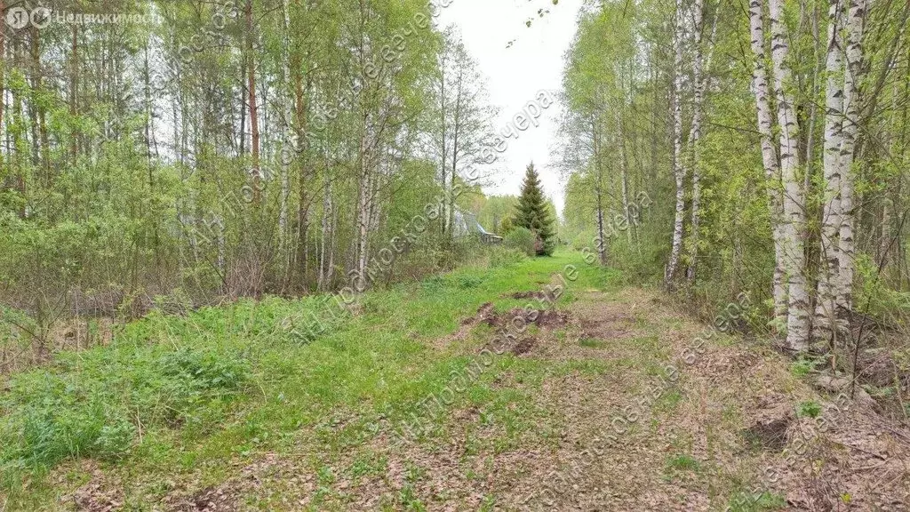 Участок в Московская область, городской округ Клин, СНТ Авионика (11.5 ... - Фото 1