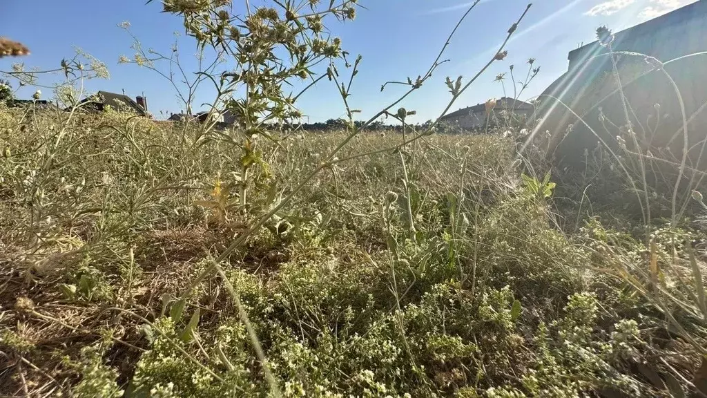 Участок в Крым, Евпатория городской округ, Заозерное пгт ул. ... - Фото 0