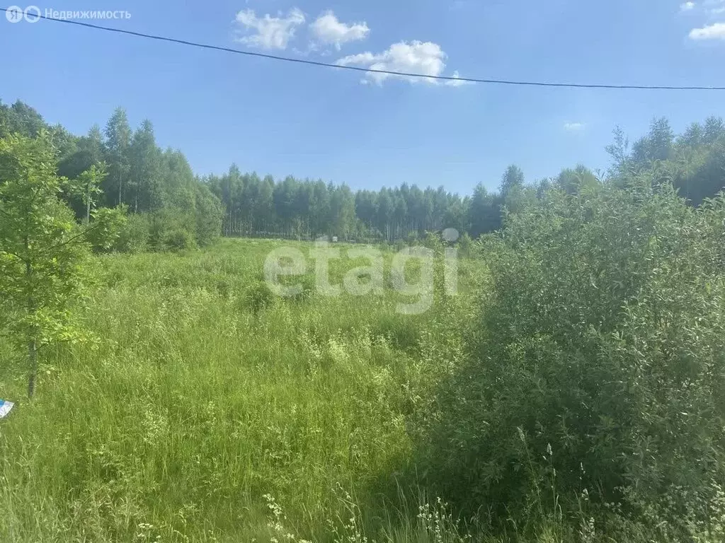 Участок в Тульская область, муниципальное образование Тула, деревня ... - Фото 0