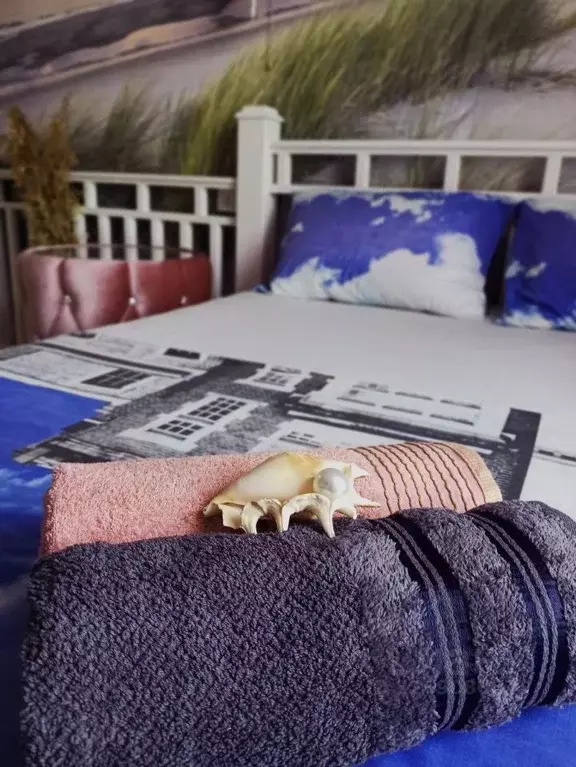 Студия Крым, Симферополь ул. Беспалова, 110М (24.0 м) - Фото 2