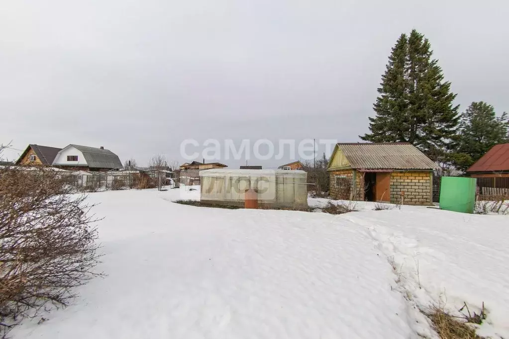 Участок в Томская область, Томск Бурундук СНТ, ул. Мальцева, 16 (4.9 ... - Фото 1