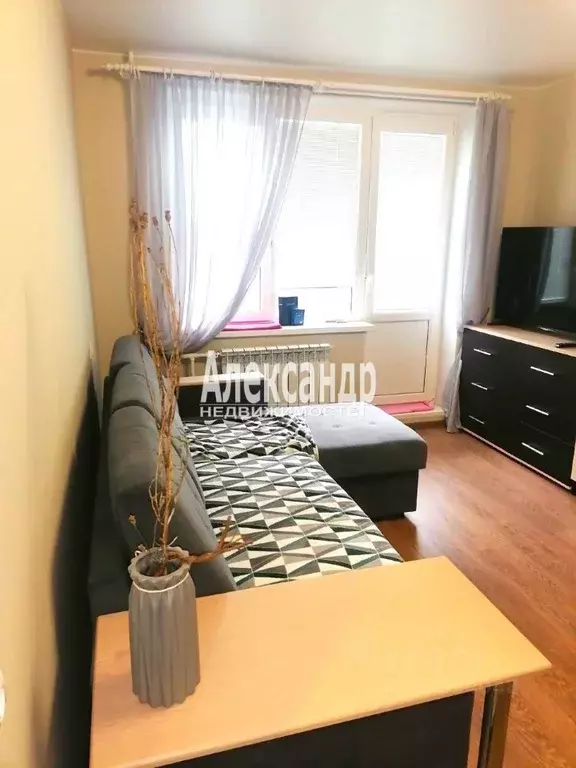 1-к кв. Ленинградская область, Приозерский район, пос. Сосново ул. ... - Фото 2