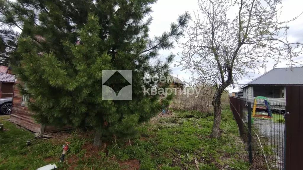 Участок в Новосибирская область, Новосибирск Рассвет СНТ, 23 (5.27 ... - Фото 1