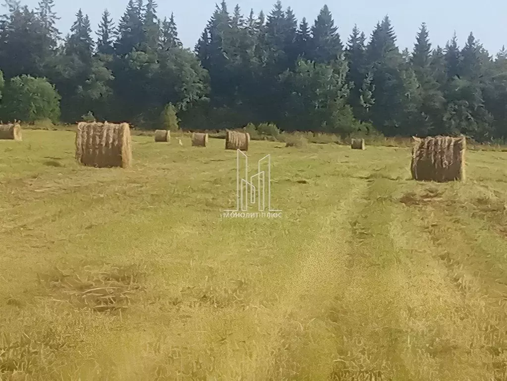 Участок в Ленинградская область, Волосовский район, Клопицкое с/пос, ... - Фото 2