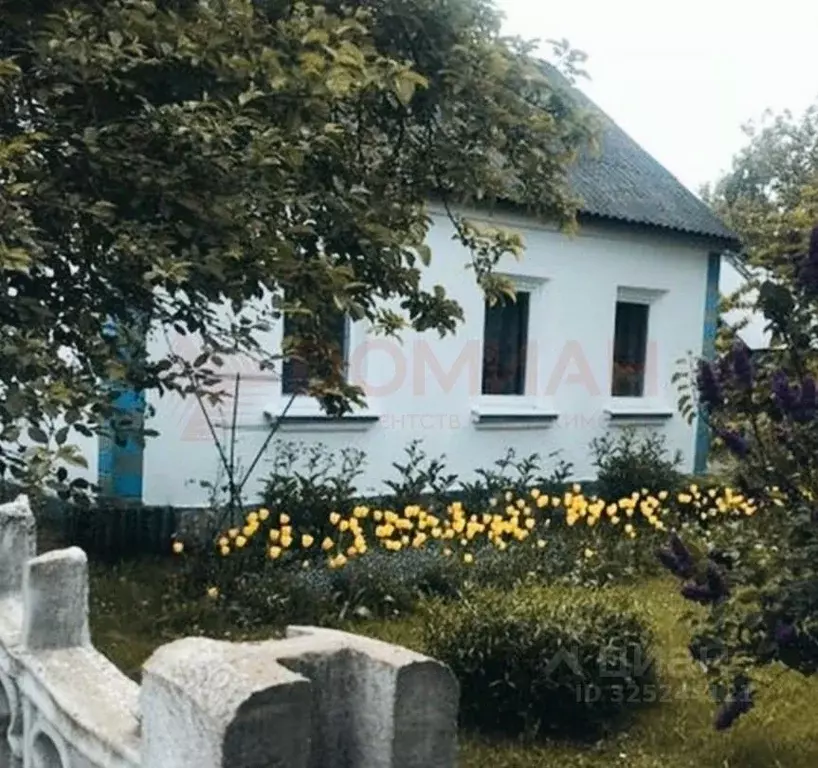 Дом в Ростовская область, Новочеркасск ул. Петрова, 10 (80 м) - Фото 1