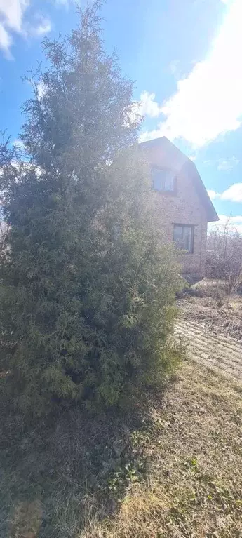 Дом в Омская область, Омск СОСН Биолог тер.,  (44 м) - Фото 2