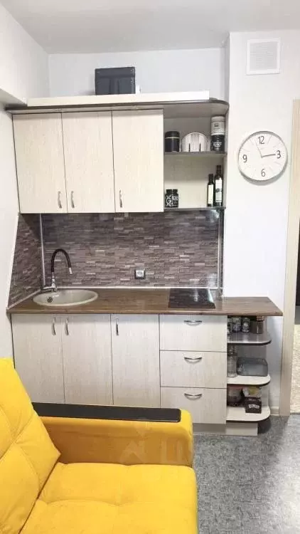 1-к кв. Иркутская область, Иркутский муниципальный округ, д. ... - Фото 1