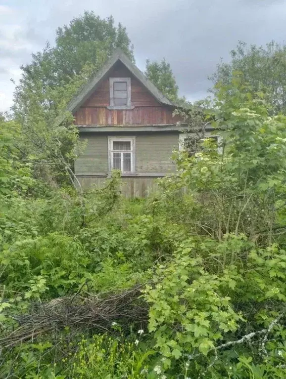 Участок в Новгородская область, Маловишерское городское поселение, д. ... - Фото 1