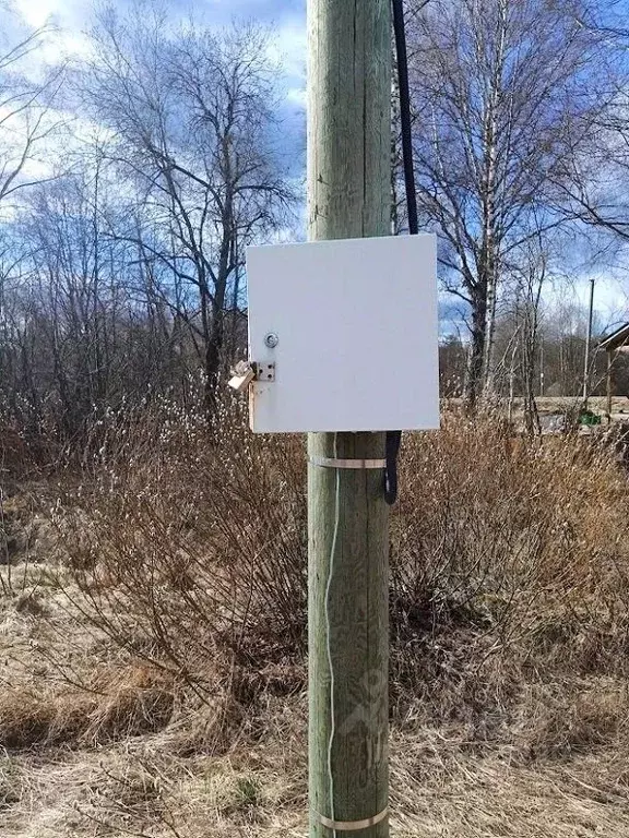 Участок в Ленинградская область, Лужский район, Толмачевское городское ... - Фото 1