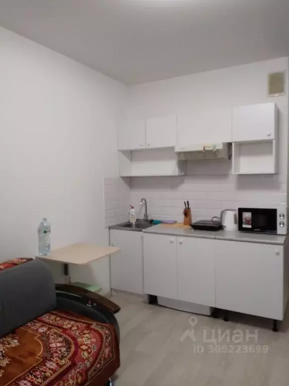 Студия Пензенская область, Пензенский район, Засечный сельсовет, с. ... - Фото 1