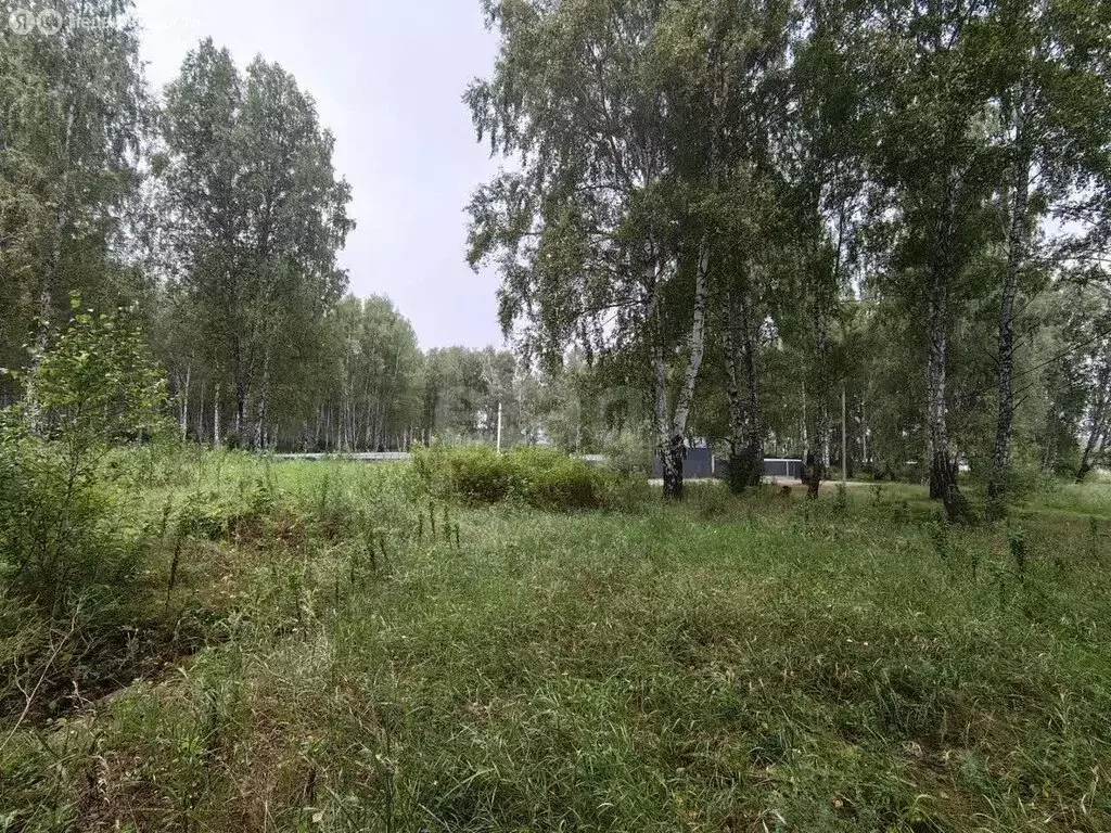 Участок в Челябинская область, Сосновский муниципальный округ, село ... - Фото 2