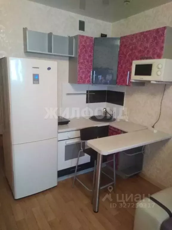 Студия Новосибирская область, Новосибирск ул. Виктора Уса, 15 (25.0 м) - Фото 2