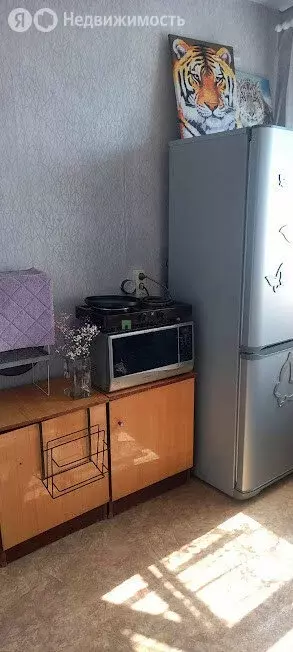 1-комнатная квартира: Чита, Кайдаловская улица, 3 (27.2 м) - Фото 0