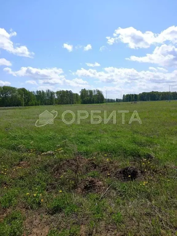 Участок в Тюменская область, Тюменский район, Новокаменский кп ул. ... - Фото 1