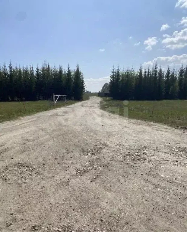 Участок в Татарстан, с. Верхний Услон ул. Лучистая, 4 (10.0 сот.) - Фото 1