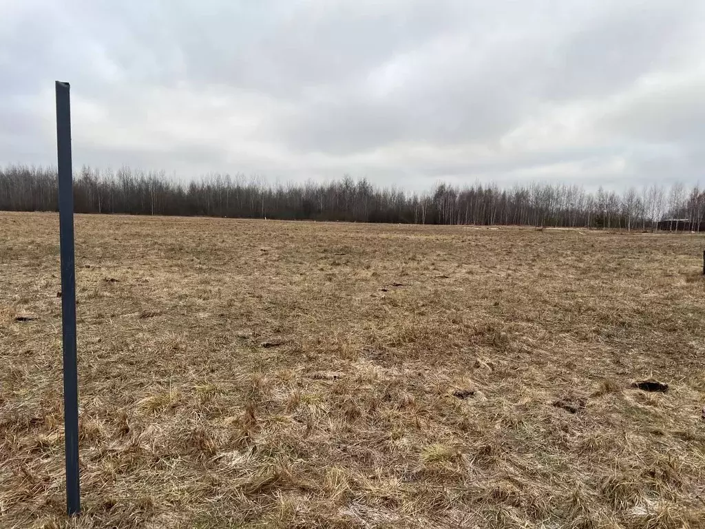 Участок в Московская область, Орехово-Зуевский городской округ, д. ... - Фото 1