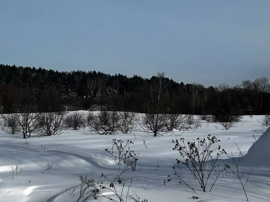 Участок в Московская область, Ступино городской округ, д. Шелково  ... - Фото 1