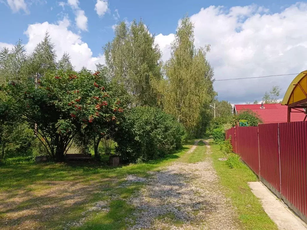 Участок в Калужская область, Боровский муниципальный округ, Совьяки ... - Фото 1