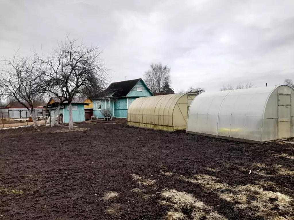 Участок в Ленинградская область, Никольское Тосненский район, Лесное-1 ... - Фото 1