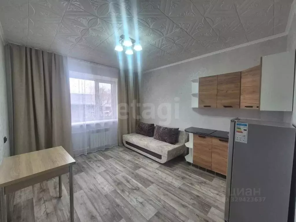 Студия Амурская область, Благовещенск Северная ул., 175 (20.0 м) - Фото 1