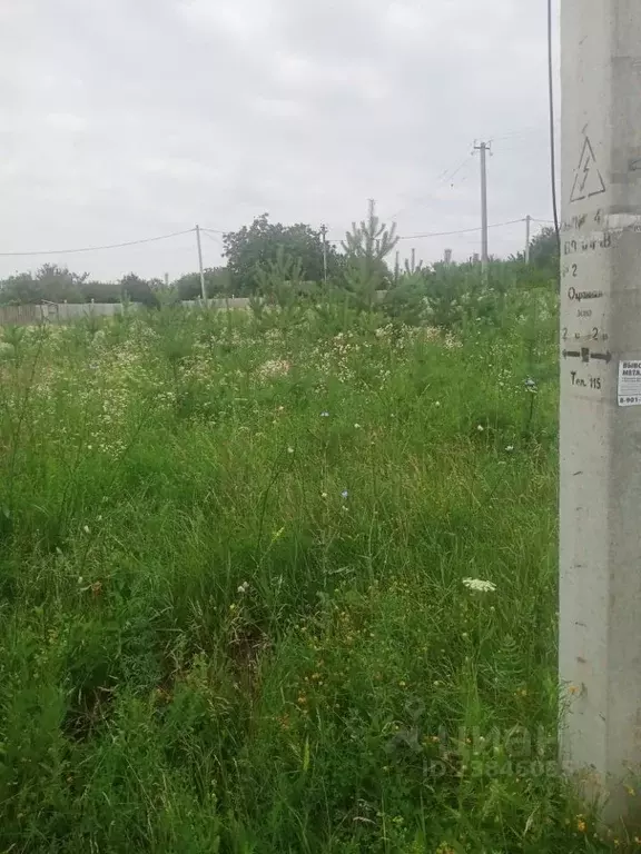 Участок в Белгородская область, Яковлевский городской округ, с. Шопино ... - Фото 1