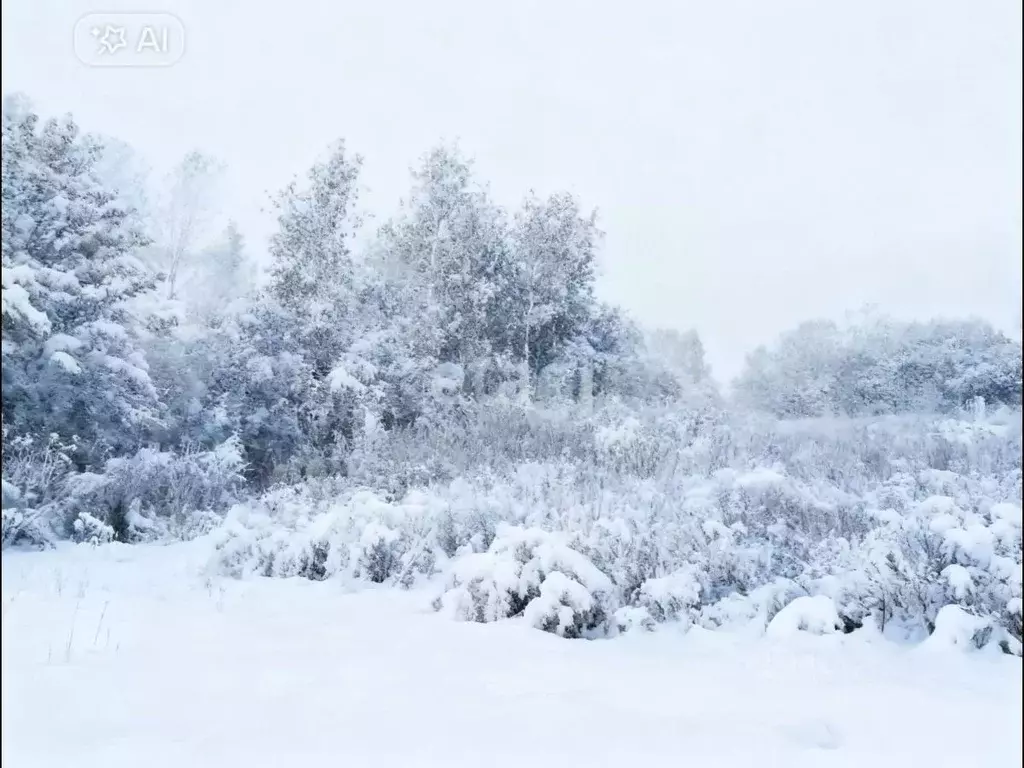 Участок в Свердловская область, Горноуральский муниципальный округ, с. ... - Фото 2