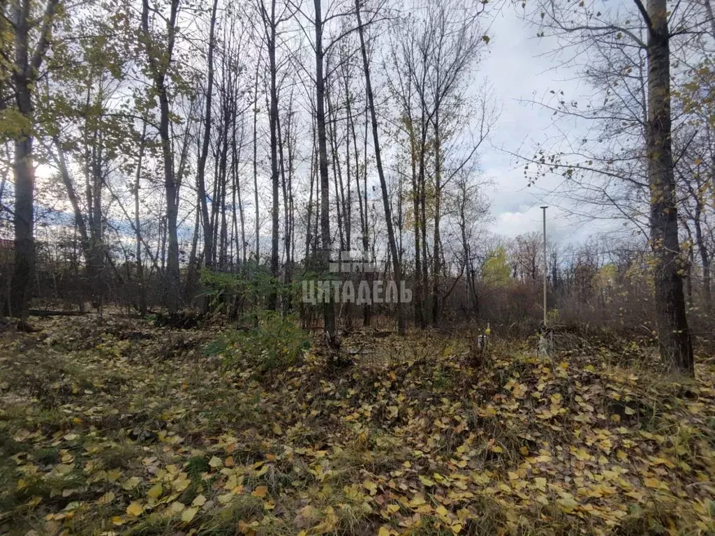 Участок в Воронежская область, Воронеж Задонье жилмассив,  (10.0 сот.) - Фото 0