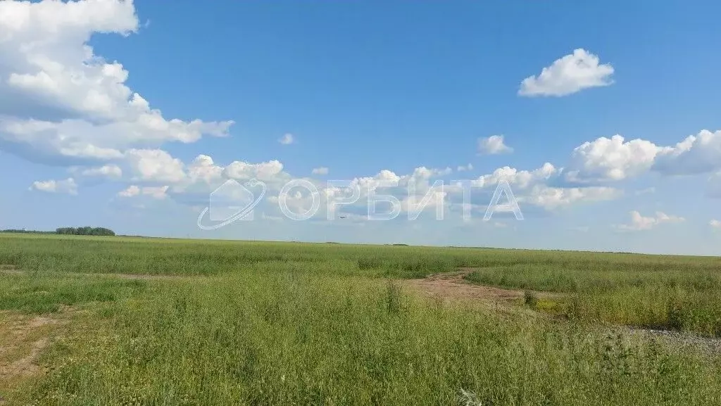 Участок в Тюменская область, Тюменский район, с. Горьковка  (10.0 ... - Фото 1