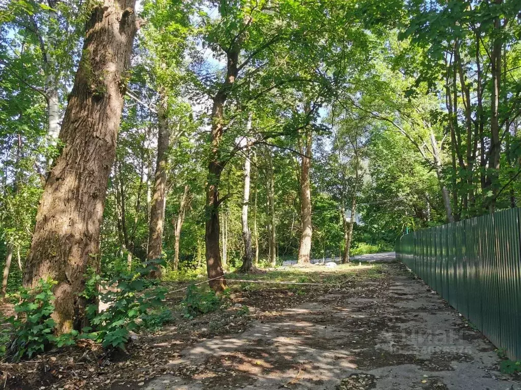 Участок в Ленинградская область, Всеволожский район, Токсовское ... - Фото 1