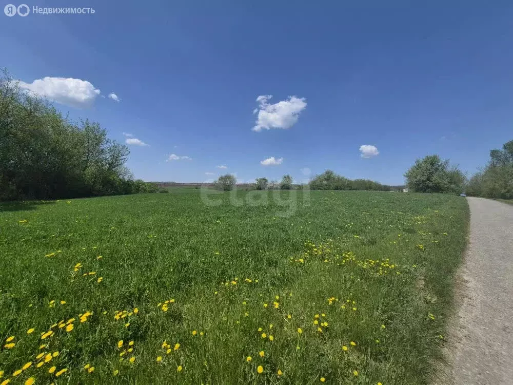 Участок в село Русская Халань, улица Ленина (35 м) - Фото 2