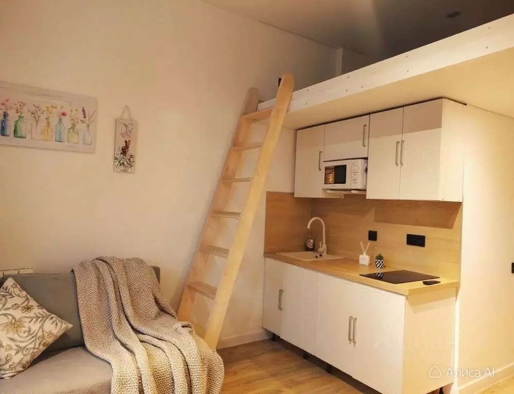 Студия Москва 2-й Амбулаторный проезд, 8С1 (26.0 м) - Фото 2