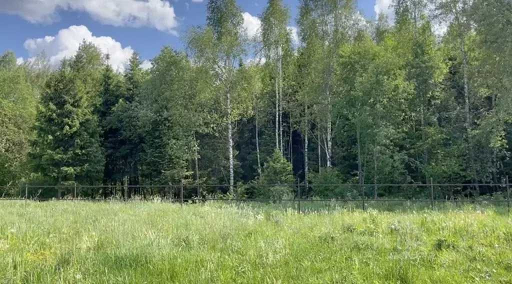 Участок в Московская область, Солнечногорск городской округ, Лесные ... - Фото 0