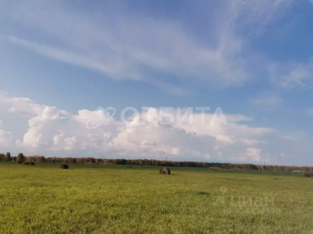 Участок в Тюменская область, Тюменский муниципальный округ, д. Елань ... - Фото 2